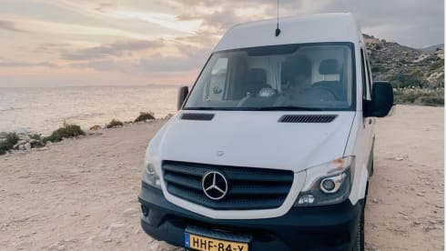 Big Bill – 2p Mercedes-Benz bus uit 2025