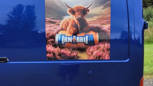 The Wee Cow  – 4 berth Ford Transit 