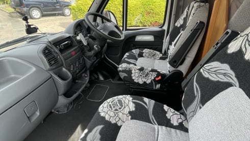Molly – Molly (spacious and heated!)