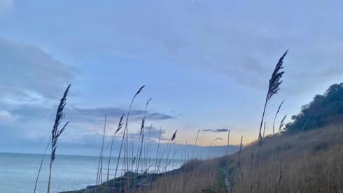 OnlyVans – Only Vans Adventures - VW T5 - 2 Berth