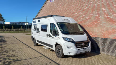 Witte Vlegel – Mclouis Menfys Matic 