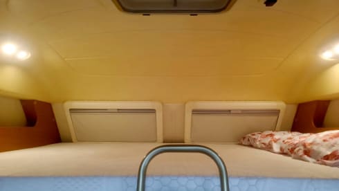 FELU ♥️ – FELU ♥️