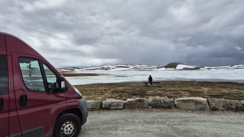 Bussie!  – Cozy and nice house on wheels