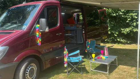 Mr Festie  – 3 berth Mercedes-Benz campervan from 2026