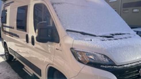 Cara – Van (6 m) from Weinberg with pop-up roof for rent