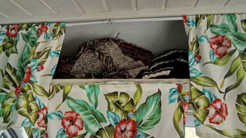 Micol – Sicilia in libertà