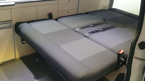 VW T6.1 Family Campervan near Somerset, Devon & Dorset Borders