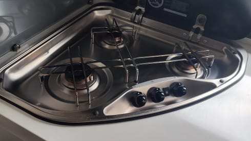 4p Ford semi-integrated from 2019