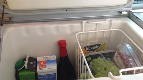 strong, tough VW T5 - California bus camper