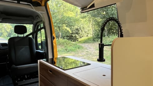 Bus Renault 4 places de 2020