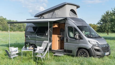 Pumba – Pössl 2 Win Plus 2021 - pop-up roof - 4 sleeping places