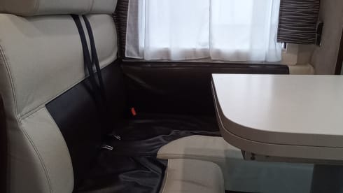 4p Benimar Cocoon uit 2017