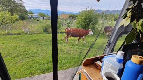 Arthur – takes you smoothly to any adventure - Ford Transit