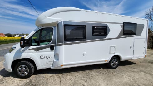 4p McLouis integrated uit 2019