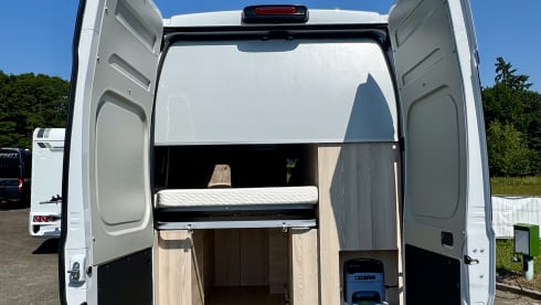 Affinity One – 4p Other bus from 2024
