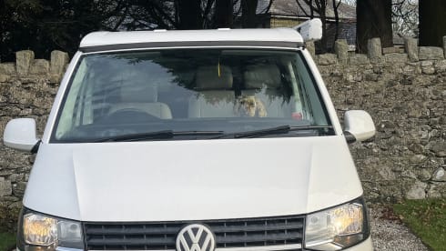 Bonnie💓 – 4 berth Volkswagen Campervan