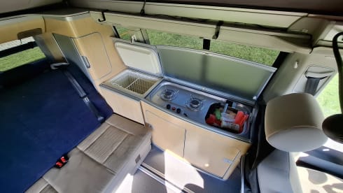 Lizzy – 4p Volkswagen bus from 2007