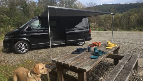 Wild Wanderer – 4 berth VW T6.1 - Insurance Included