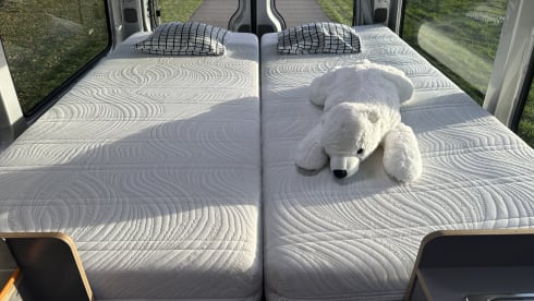 Bertus – Mercedes Sprinter 519CDI 3.0 V6 (191 hp) Automatic Bus Camper – B driving license –