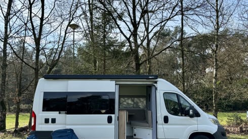 2p Citroën bus from 2018