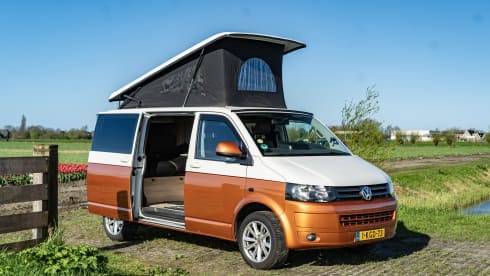 Charlie – Gezellige 4 persoons buscamper Volkswagen T5