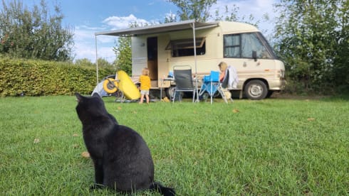 De Duke – Nice cup of 4-person tiny house on wheels