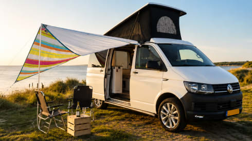 Van Goch – Stile Volkswagen Transporter T6 Ventje 