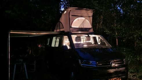 Luxury 4WD VW California (2019)