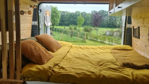 Willem – Willem - Cozy bus camper!