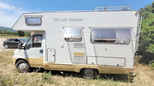 Freddy – "Camper Mansardato Fiat Ducato : Classico Vintage Familiare"