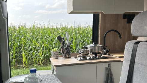 Großer Premium Hannes – Hannes Camper - Large Hannes Camper