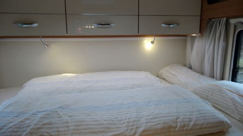 Willie – The Normal One