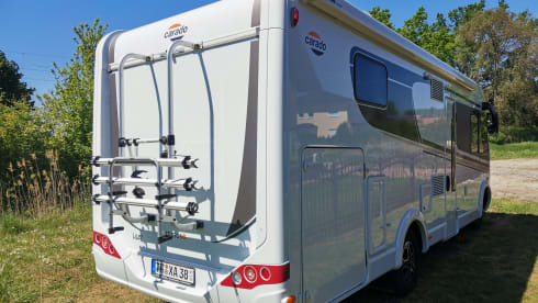 Anne – Carado i447