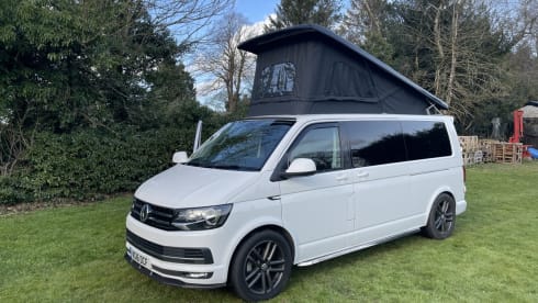 Carolina – T6 Luxury Conversion - Dog Friendly, Insurance included