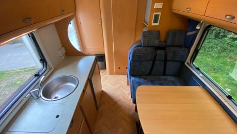 Bluebell – Fun, Versatile and Reliable