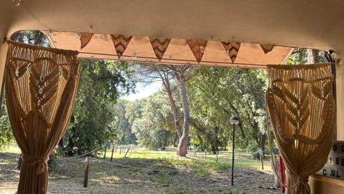 Sagittarius  β The Turbo-Slow Sagittarius