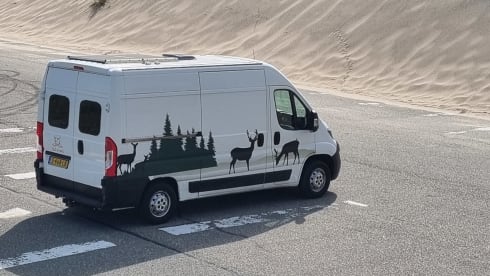 2p Peugeot bus from 2018