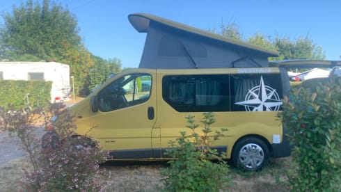 PeiPei – 3/4 seater Renault Trafic from 2003