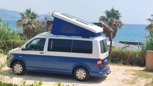 Luxury Van Transporter T5