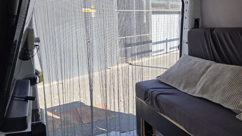 Camper incognito  – 2p Ford bus from 2018