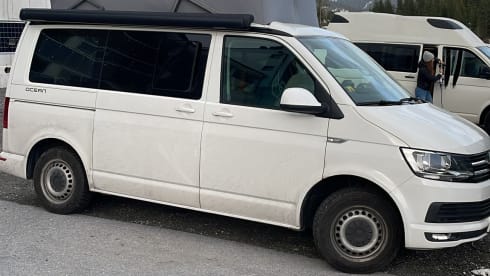 Cali  – Volkswagen California T6 (Factory Camper, original)