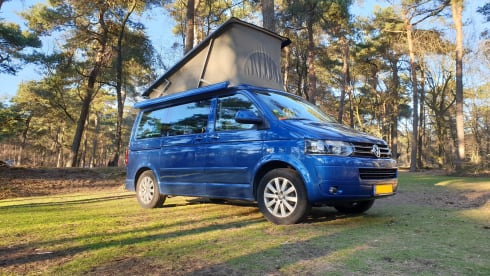 Blauw – Volkswagen T5 California Bus camper with pop-up roof.