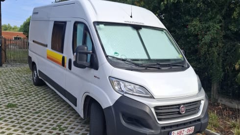 4p Fiat bus uit 2021