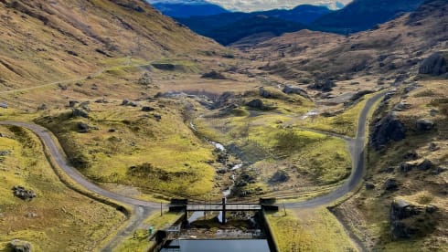 Bamboo Buck – Hashtagcampeurs 