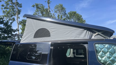 Nuggy  – 4p Ford bus from 2018