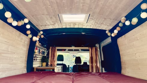 Blackie – 2p Ford bus from 2017