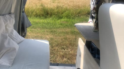 Willi – Vermiete Renault Kangoo Minicamper Eigenumbau