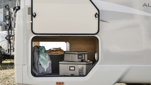 Phoenix – 6-Bett Roller Team teilintegriert ab 2023