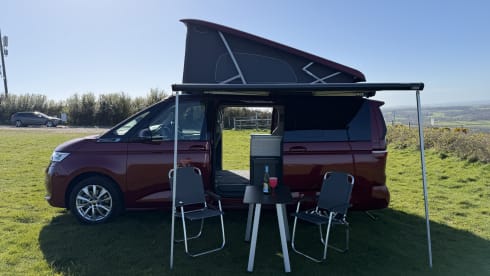  Betty – Volkswagen California Ocean EHybrid 2025 met 4 slaapplaatsen