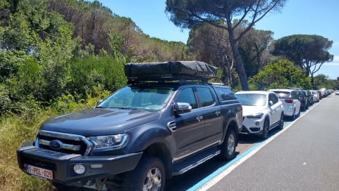 4p Ford rooftop from 2016